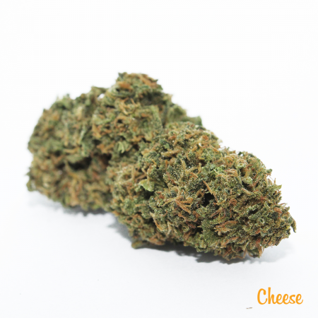CBD Cheese - kvet - 1g